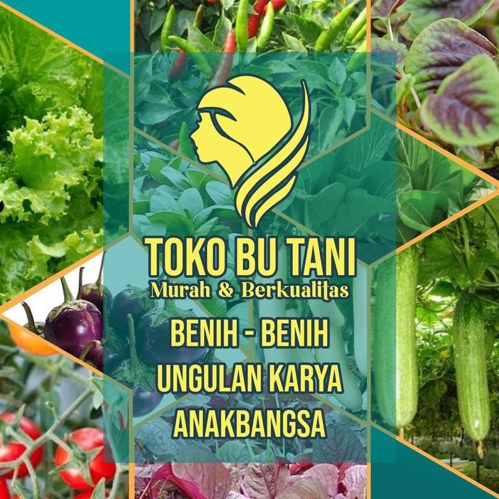 Bibit Sayuran Benih Sayur Paket Lengkap Tanaman Hidroponik Kangkung