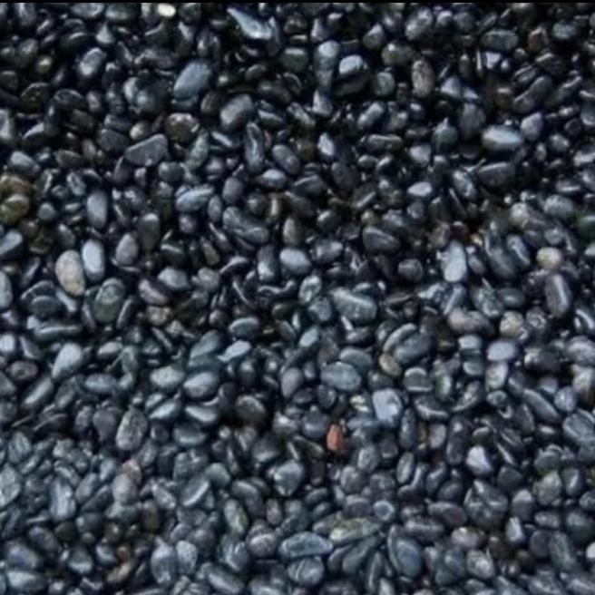 batu koral sikat hitam/pancawarna 10 kg *