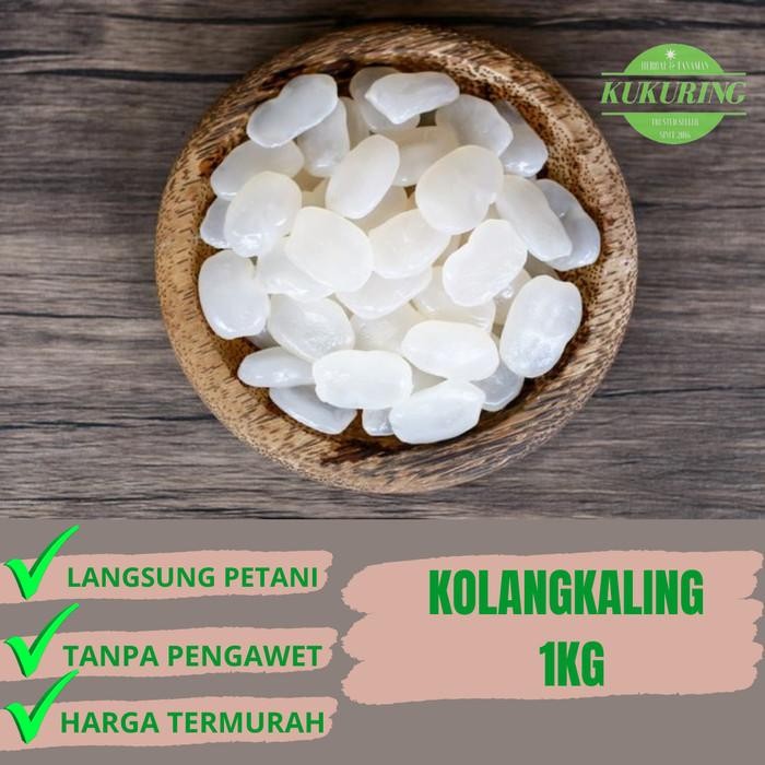 

[Fresh] Kolangkaling muda 1kg kolang kaling aren alami tanpa pengawet dijamin