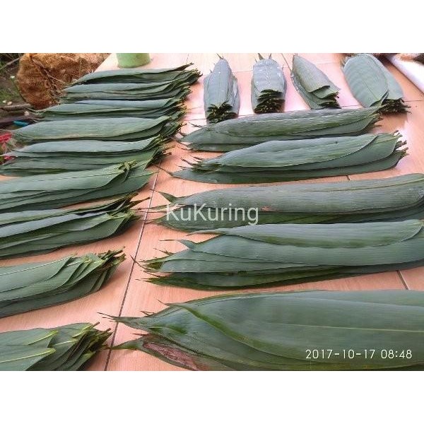 

[Fresh] DAUN BAMBU TERMURAH KONDISI FRESH UNTUK BUNGKUS BAKCANG / KICANG