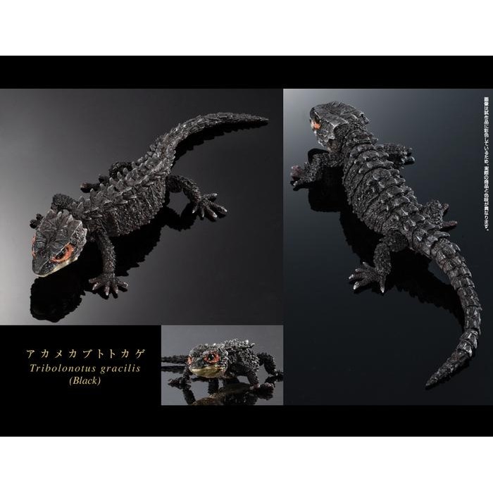 Crocodile skink kadal salak dangomushi ikimono Bandai Gashapon Gacha - 01