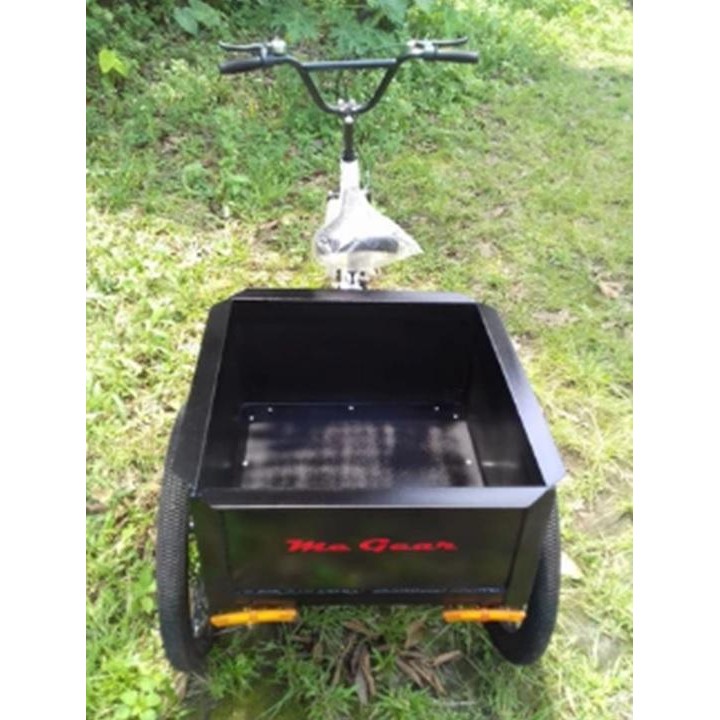 Sepeda Roda Tiga Dewasa Cargo Box