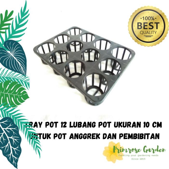 Tray Pot 12 lubang untuk pot 10 cm /pot anggrek / pot semai