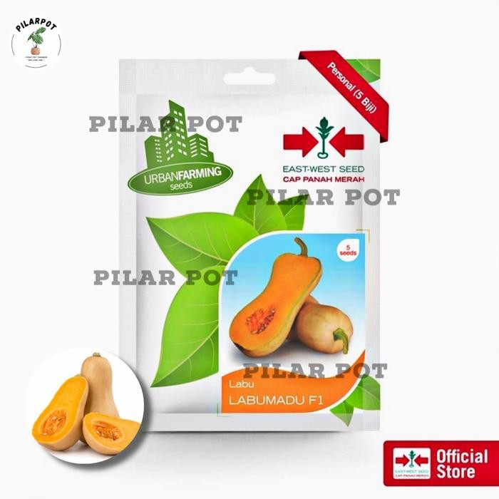 benih bibit labu madu f1 cap panah merah - LABU MADU F1