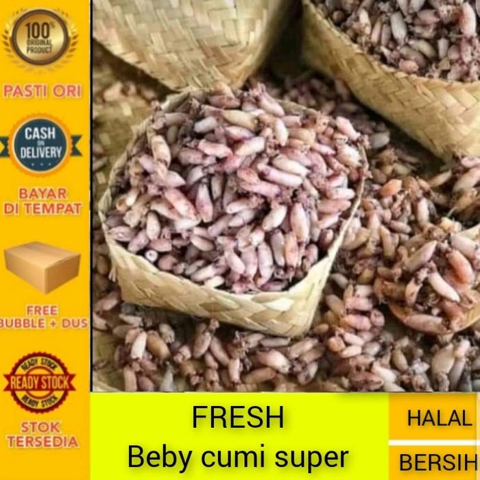 

New Ikan asin beby cumi-500gram KHR