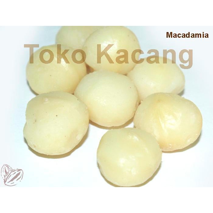 

Kacang Macadamia 100g