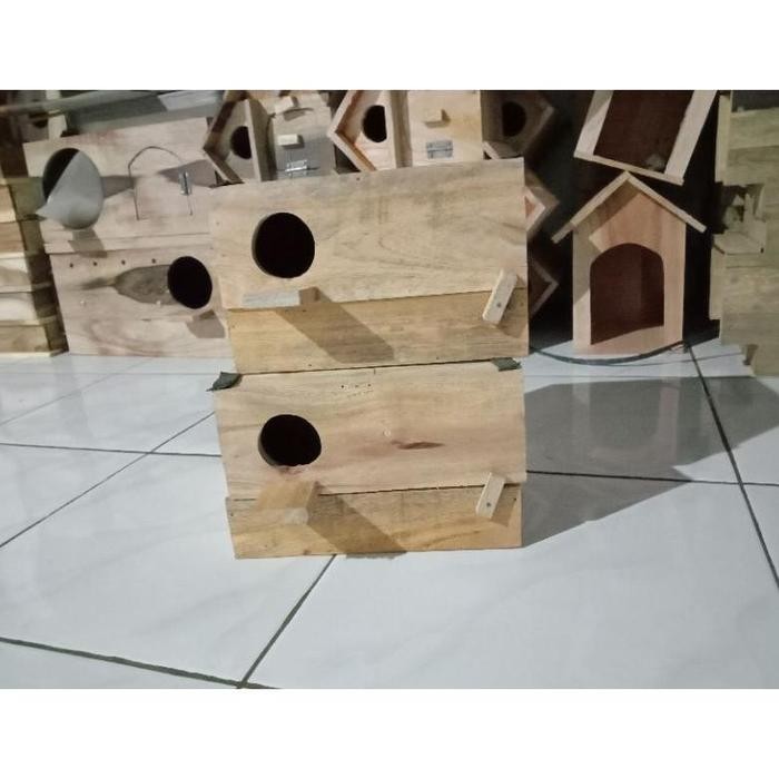 Glodok Burung Parkit kayu Mahoni Glodok Ternak Burung