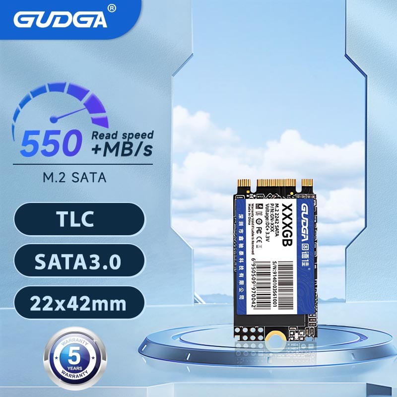 GUDGA SSD 2242 M2 NGFF SATA SSD 1TB 128GB 512GB SSD M2 2242 Drive Internal Hard Disk Hdd Hard drive 