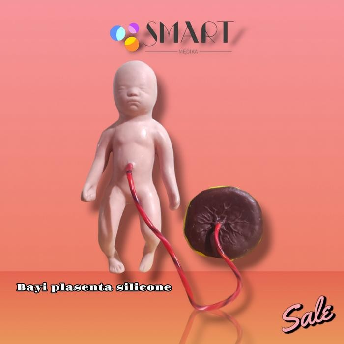PHANTOM / MANIKIN MODEL BAYI PLASENTA / PLASENTA SILICONE