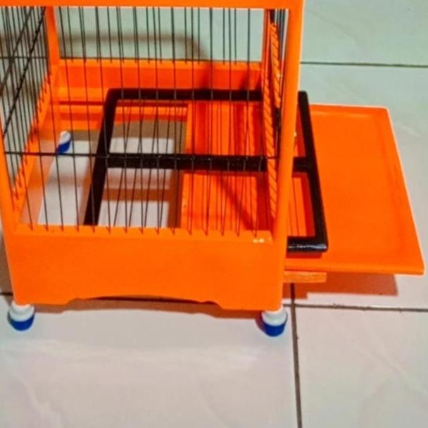 Sangkar Burcil Uk. 20*19 Bahan Kayu jati // Sangkar Kayu Jati menggunakan jeruji Fiber // Sangkar