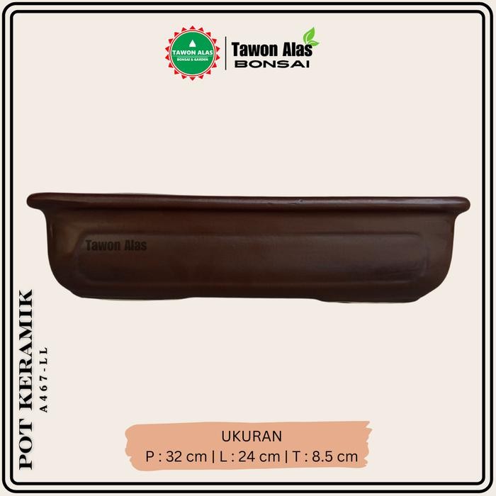 Pot Bonsai Keramik Persegi Panjang Bagus Besar
