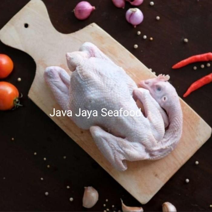 

(Expert) Ayam Pejantan / Ayam Panggang / Ayam Kampung