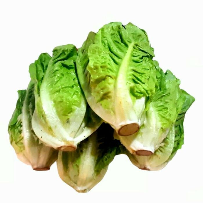 

New Selada Lettuce Romaine 500 gr