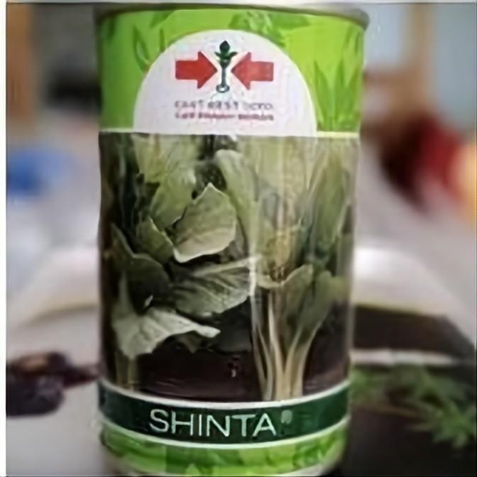 Benih Sawi Shinta 100 Gram Shinta Kaleng Caisim Panah Merah Sawi Bakso