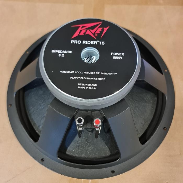 Speaker 15 Inch Peavey Pro Rider 800Wat