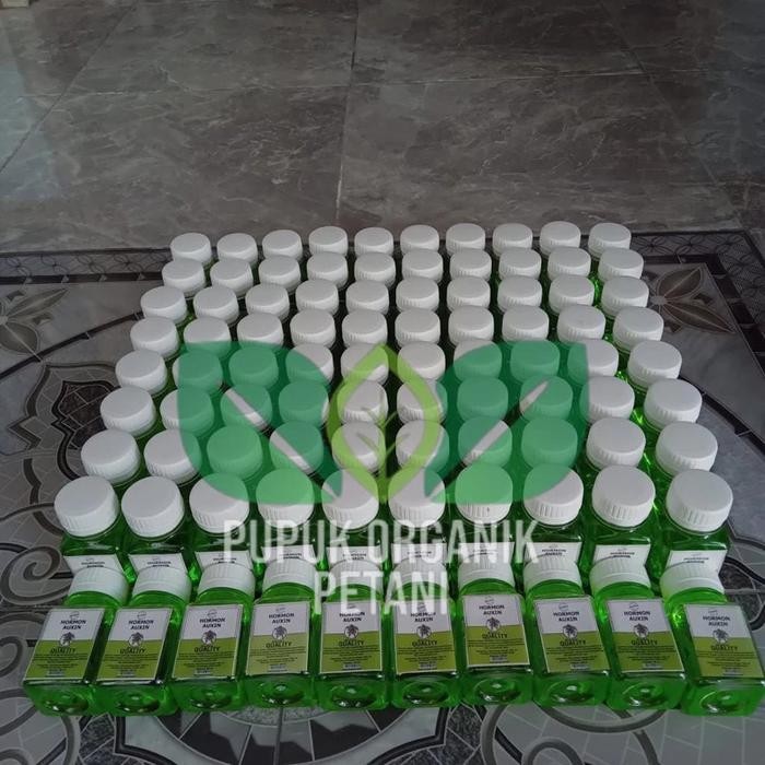 Hormon Tanaman Hormon Auxin Giberelin Sitikonin Hormon Untuk Tanaman
