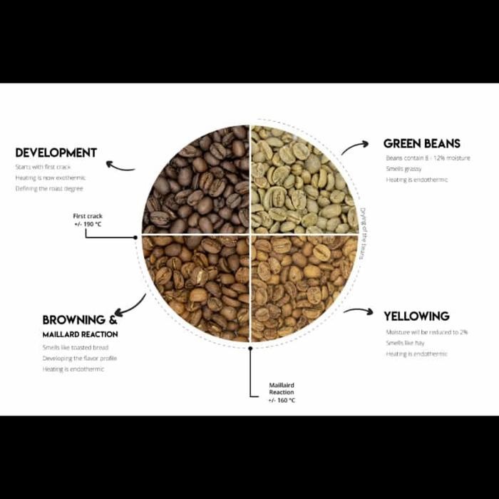 

Biji Kopi Robusta / Green Bean Toraja 1Kg - Washed #Gratisongkir #Sale #Discount