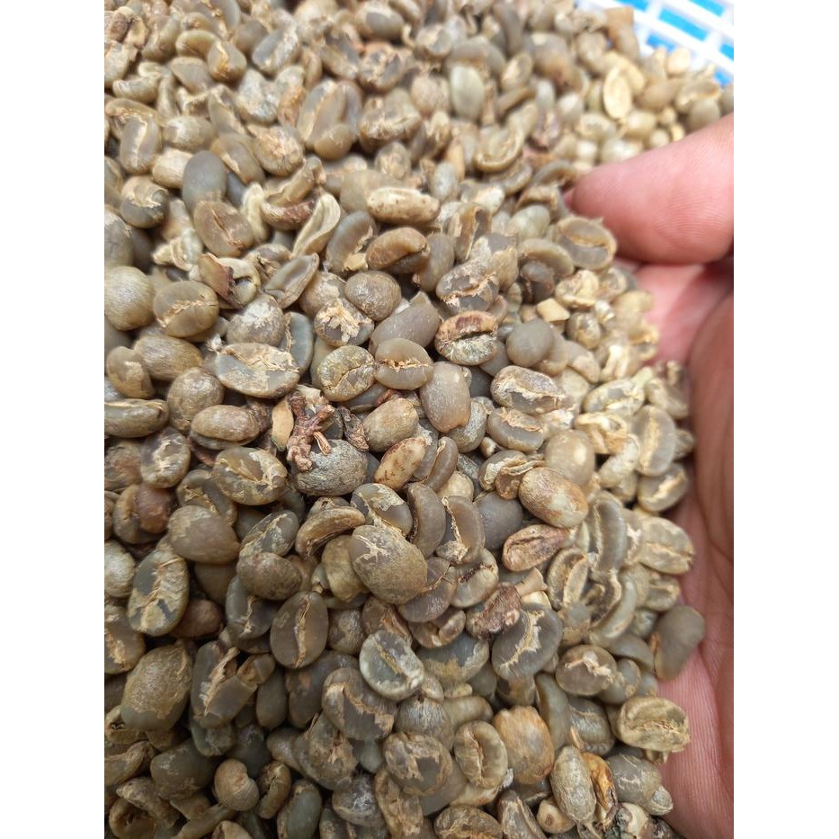 

Kopi Biji/Gree Bean Commercial Arabika Toraja G2 1 Kg #Gratisongkir #Sale #Discount