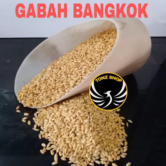 GABAH BANGKOK/LAMPUNG PAKAN MAKANAN BURUNG,AYAM,HAMSTER 1KG