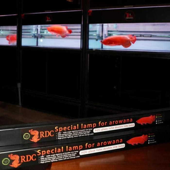 Lampu Led Rdc Arwana Super Red ( 93Cm )