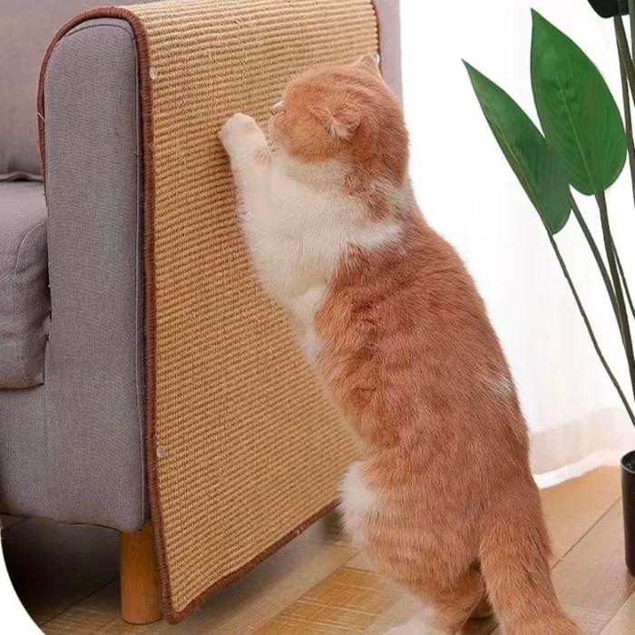 alas karpet garukan kucing