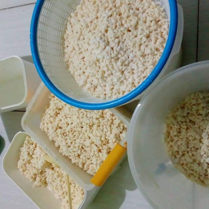 

(Expert) Bibit Kefir grains 25 gr/50 gr Kualitas Premium 100% Asli