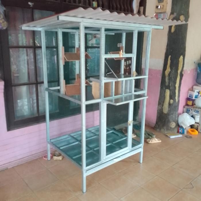 kandang burung dara merpati pos pintu trap