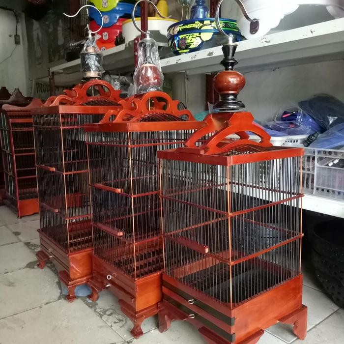 sangkar kotak ciblek n sejenis ny