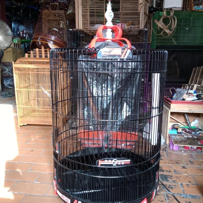 sangkar/kandang murai Ebod decal No 2 ( dan )