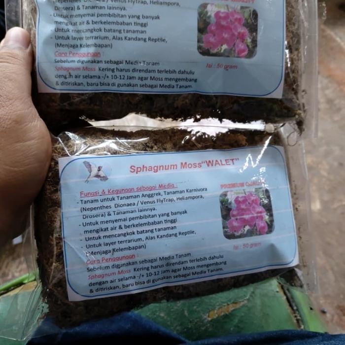 Media Tanaman bunga anggrek - sphagnum moss
