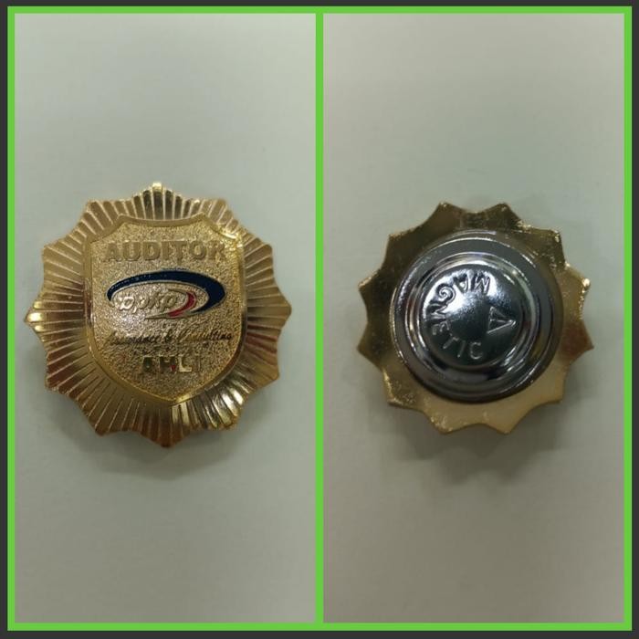 PIN AUDITOR AHLI PIN AHLI AUDITOR PIN BPKP