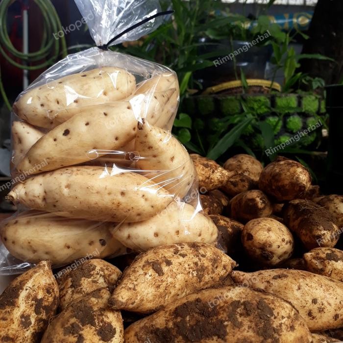 

New ubi cilembu / ubi cilembu mentah / PROMO 1KG / Rimpang Herbal