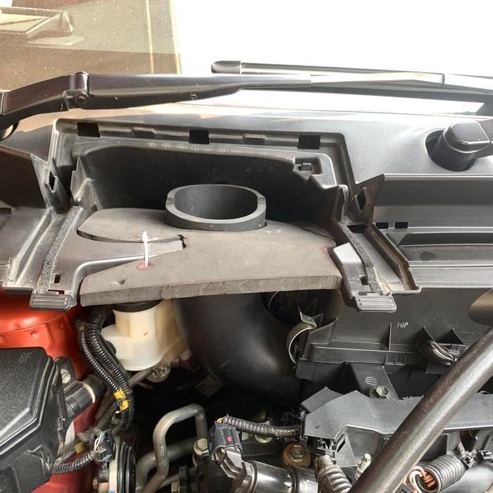 Belalai Extreme sienta belex sienta