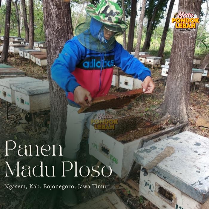 

Ready- Madu Murni Ploso Premium Original Honey 300 Ml - Pondok Lebah #Gratisongkir