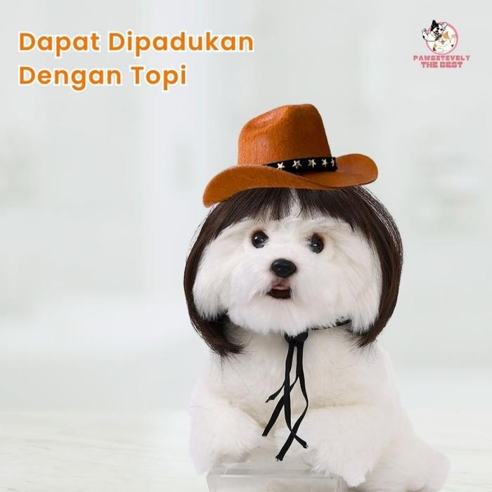 Cosplay Wig Hewan Anjing Kucing - Pet Wigs Cosplay Hewan Anjing Kucing - Rambut Hewan Kucing Anjing