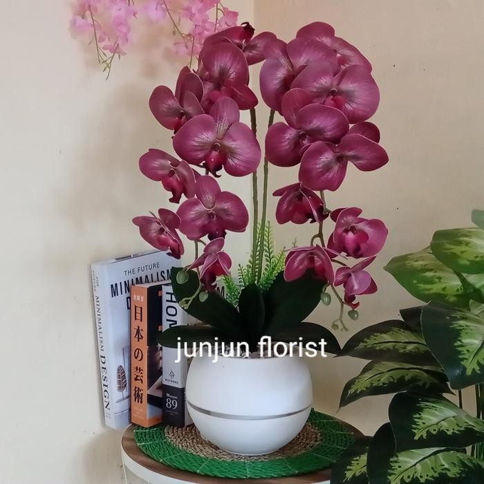 Bunga Anggrek Latex Jumbo Artificial Pot Bola//Bunga Anggrek Bulan