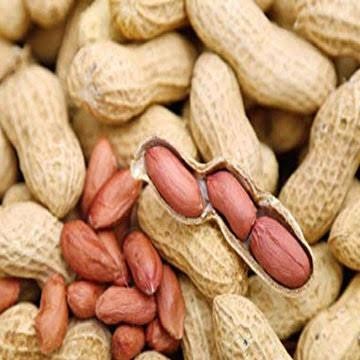 

4ZMI Kacang Kulit/Kacang Rebus