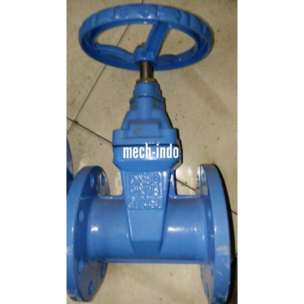 Gate valve Resilient 6"