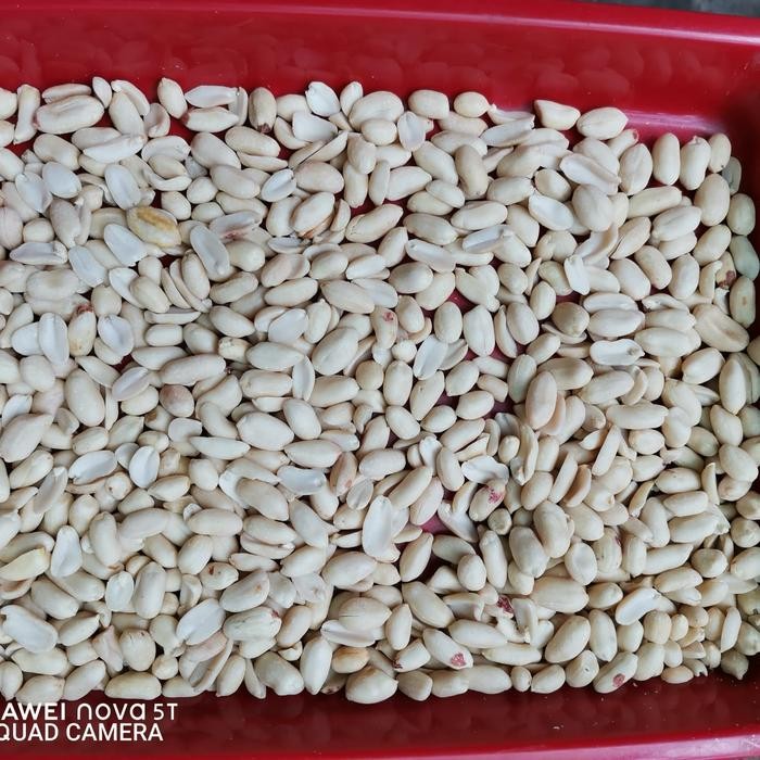 

KACANG TANAH KUPAS MENTAH 25/29 BERAT 1KG / 1000GR NUT