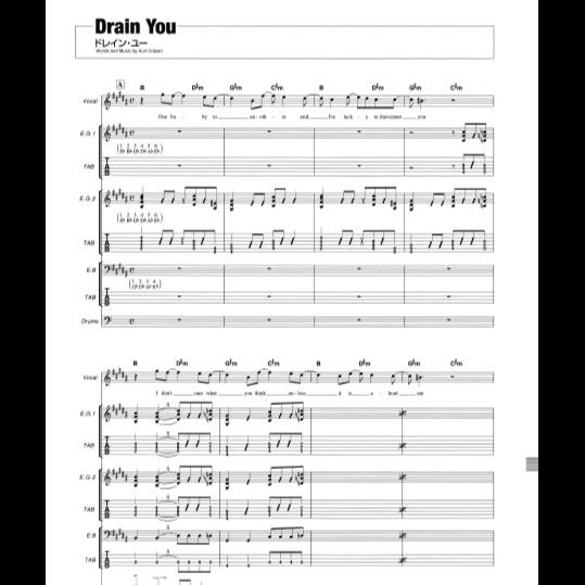 Buku Tablature Gitar - Nirvana - Nevermind - NEW Bandscore Album
