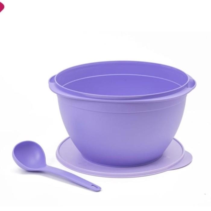 Tupperware Legacy Bowl With Lade Wadah Saji Set