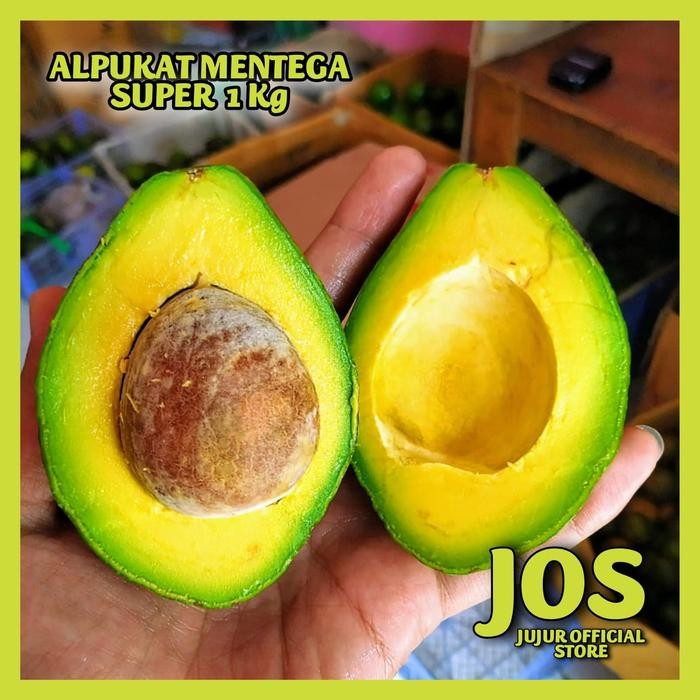 

TERMURAH ALPUKAT MENTEGA SUPER READY STOCK