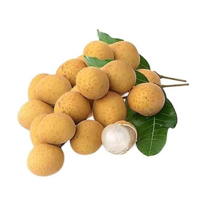 

ASLI Lengkeng Bangkok - Total Buah READY STOCK