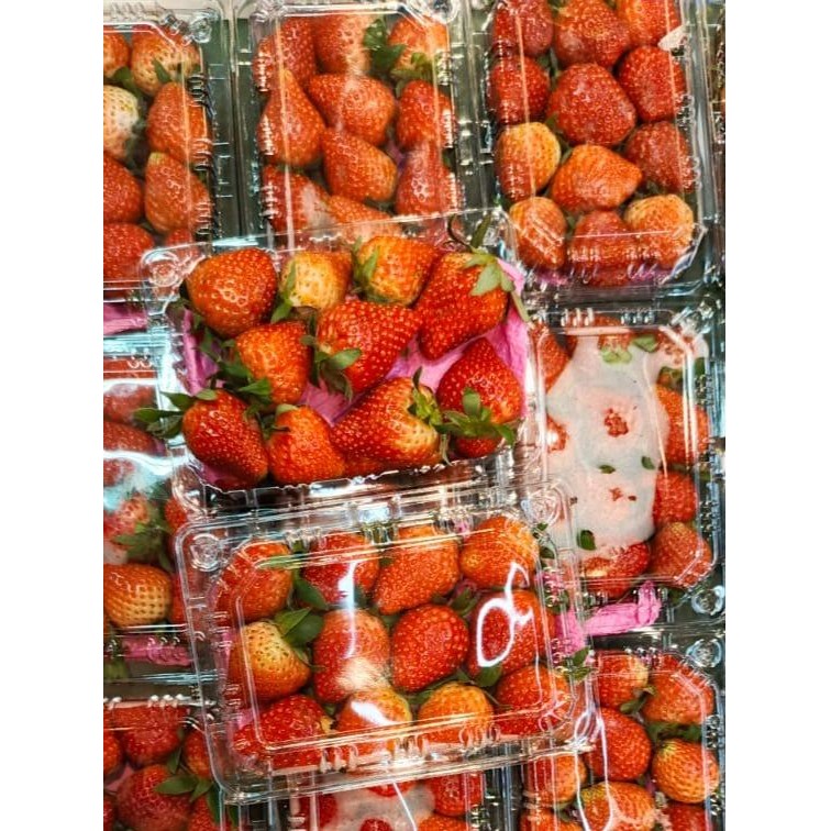 

TERLARIS buah strawberry segar fresh organik kiloan malangbong garut bandung READY STOCK