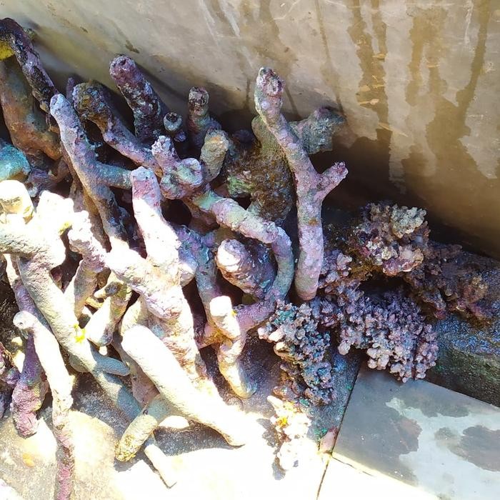 (Allthebest) live rock