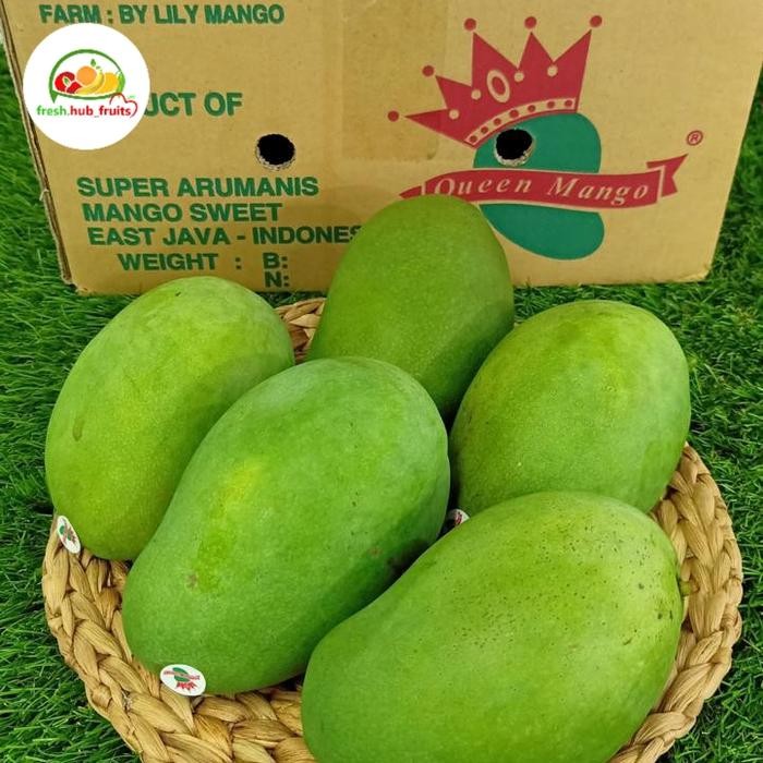 

TERLARIS Mangga Alpukat Harumanis Premium Mangga Lily suluhan mili Matang poh READY STOCK