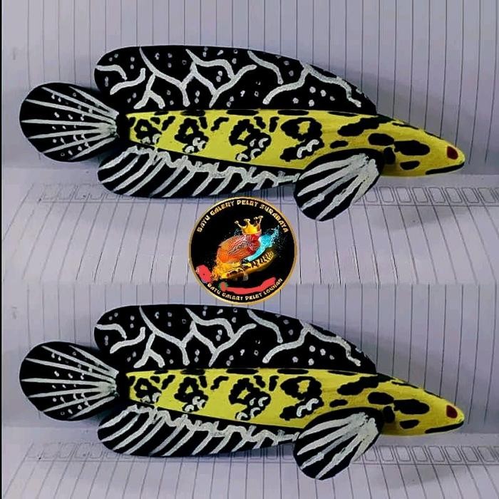 PATUNG CHANNA MARU YELLOW SENTARUM ,BARITO ,PULCRA, ASIATICA, STEWARTI, LIMBATA TERMURAH *