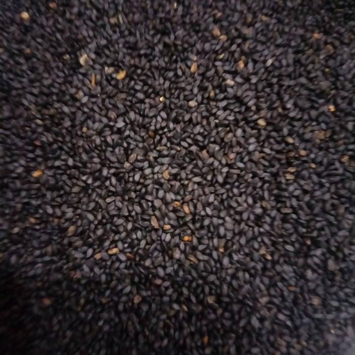 

Biji Selasih / Basil Seed Kualitas Super 100 Gram / 250 Gram / 500 Gram / 1 Kg