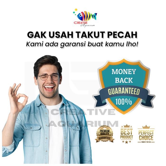 [ Promo ] Aquarium Ikan Cupang Soliter Akrilik Aquarium Mini Lengkap Dengan Batu Bunga Hias Plus