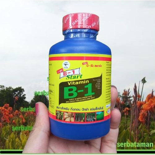 Vitamin B1 Thailand Original 100ml / B1 Tanaman